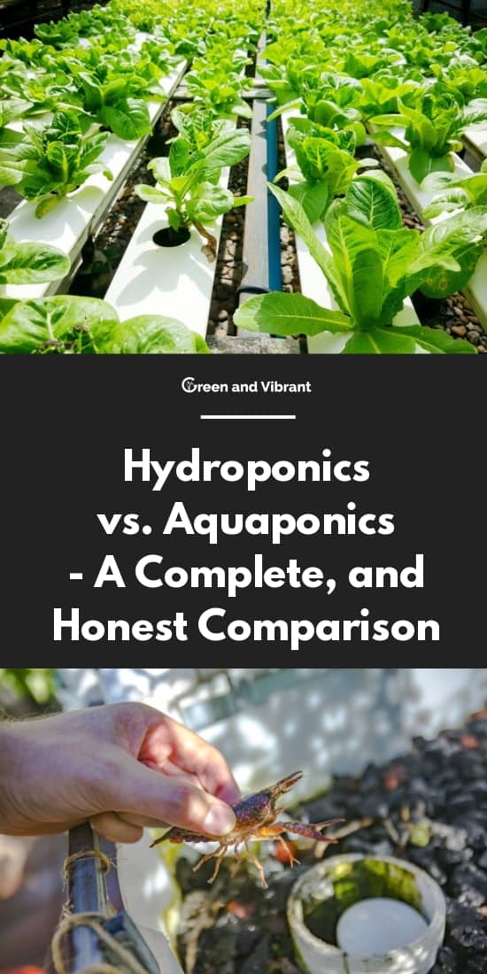 Hydroponics vs. Aquaponics - A Complete, and Honest Comparison