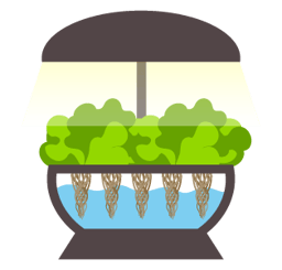 Hydroponic System Cover