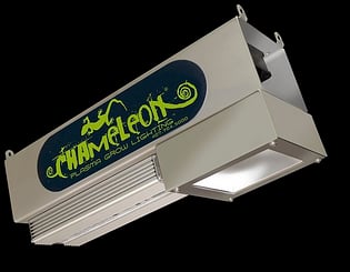 Plasma grow light