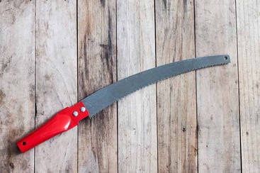 Pruning Saw