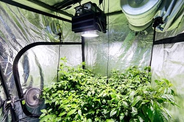 Grow Room Ventilation