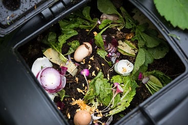 Compost Bin with Food Scraps and Grass Cuttings in the kitchen