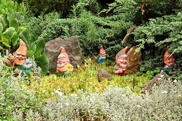 Some decorative garden gnomes in the garden