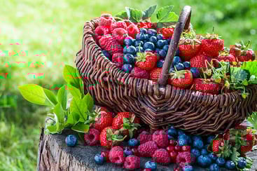Types of Berries Types of Berries