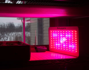 LED grow lights