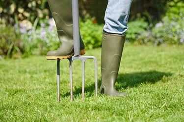 Lawn Aeration Lawn Aeration