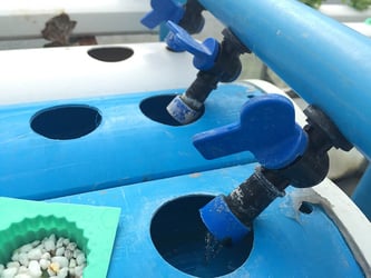 Tap Water Hydroponics Tap Water Hydroponics