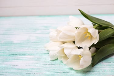 Types of White Flower Types of White Flower