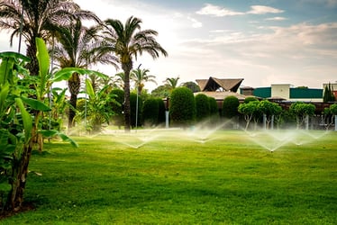 Types of Lawn Sprinklers Types of Lawn Sprinklers