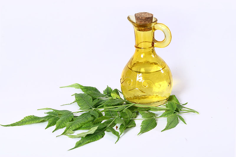Neem Oil Neem Oil