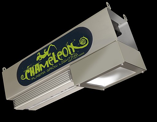 Plasma grow light Plasma grow light