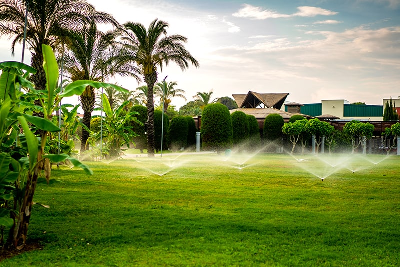 Types of Lawn Sprinklers Types of Lawn Sprinklers