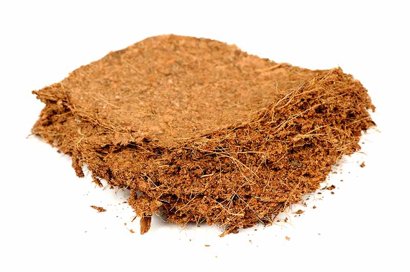 Coconut Coir Coconut Coir