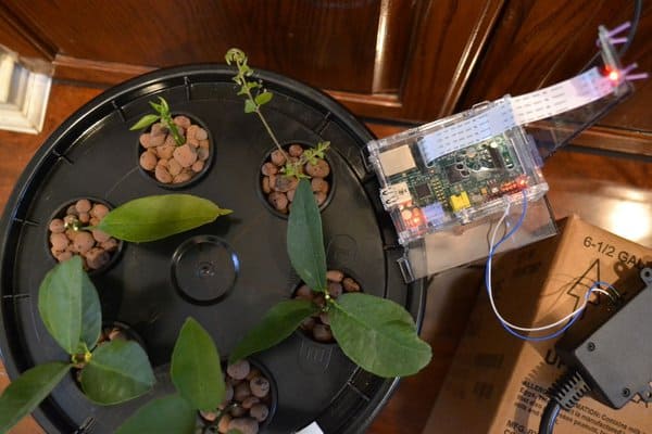 Automated Aeroponics System Using Raspberry Pi