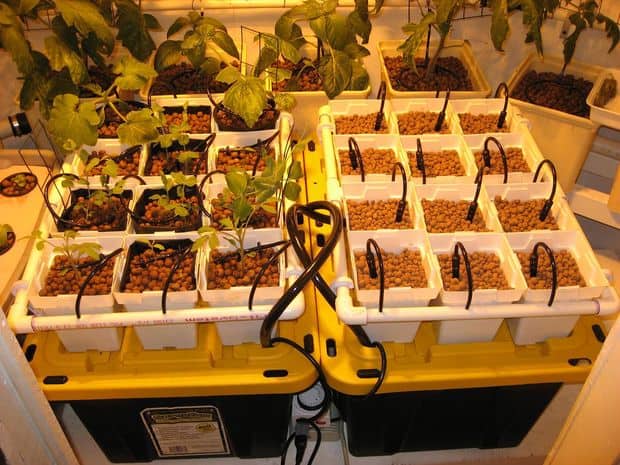 Drip Water DIY