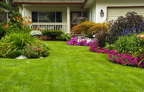Front Yard Lawns