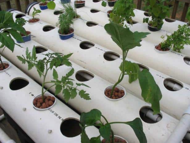 PVC NFT Hydroponics System
