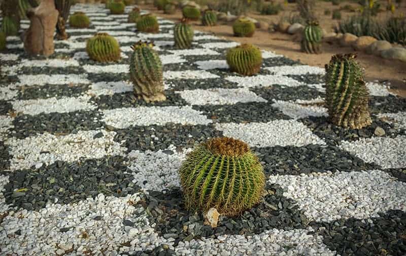 Patterned Pebbles