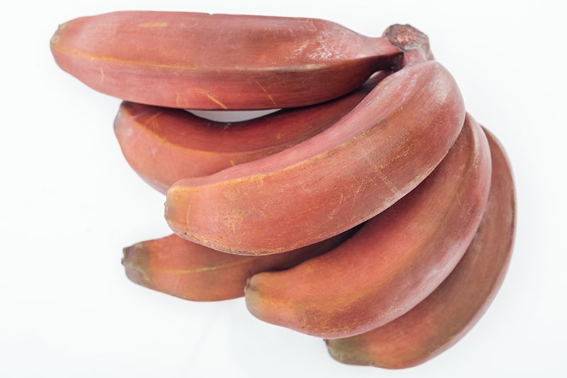 Red Bananas