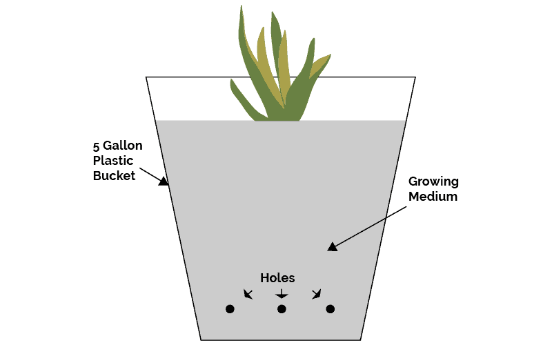 Simple Bucket Hydroponic System