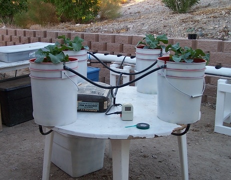 Simple Drip System With Buckets
