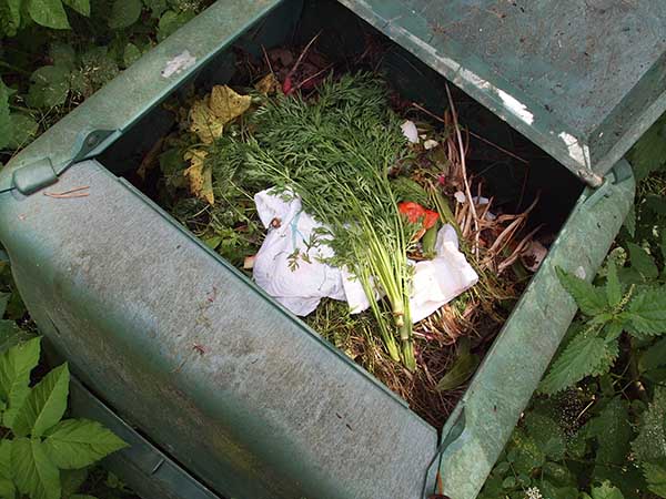 A compost bin in the garden