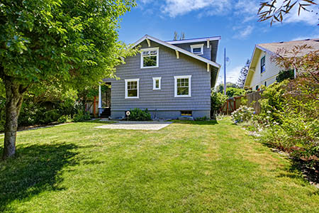 Backyard Lawns
