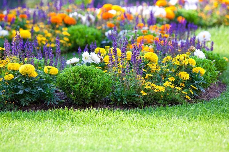 25 Beautiful Flower Bed Ideas Trees Com, Garden Flower Beds Ideas