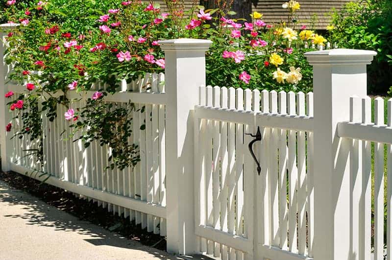 25 Fantastic Garden Fence Ideas Trees Com
