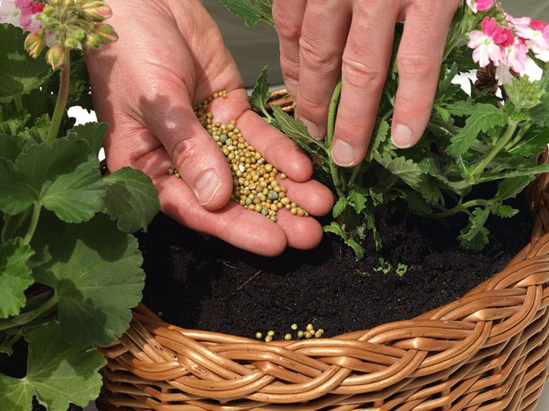 Granular fertilizer