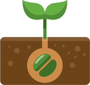 Hydroponic Media