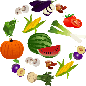 hydroponic plants
