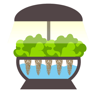 Hydroponic System