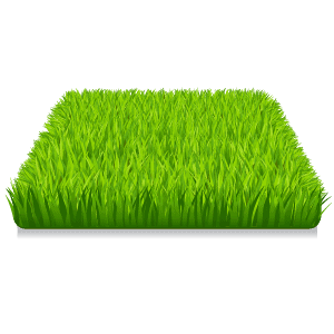 Aquaponic Systems