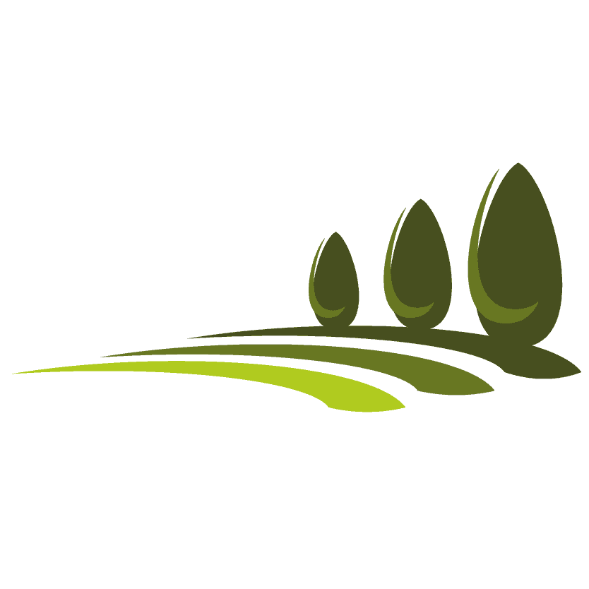 What is lawn? And Types of Lawn