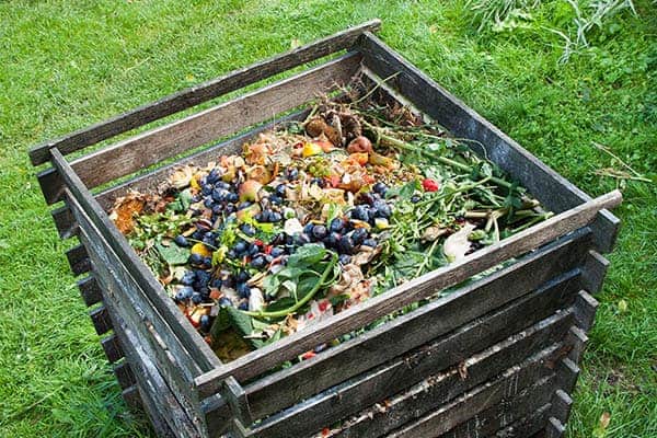 Compost