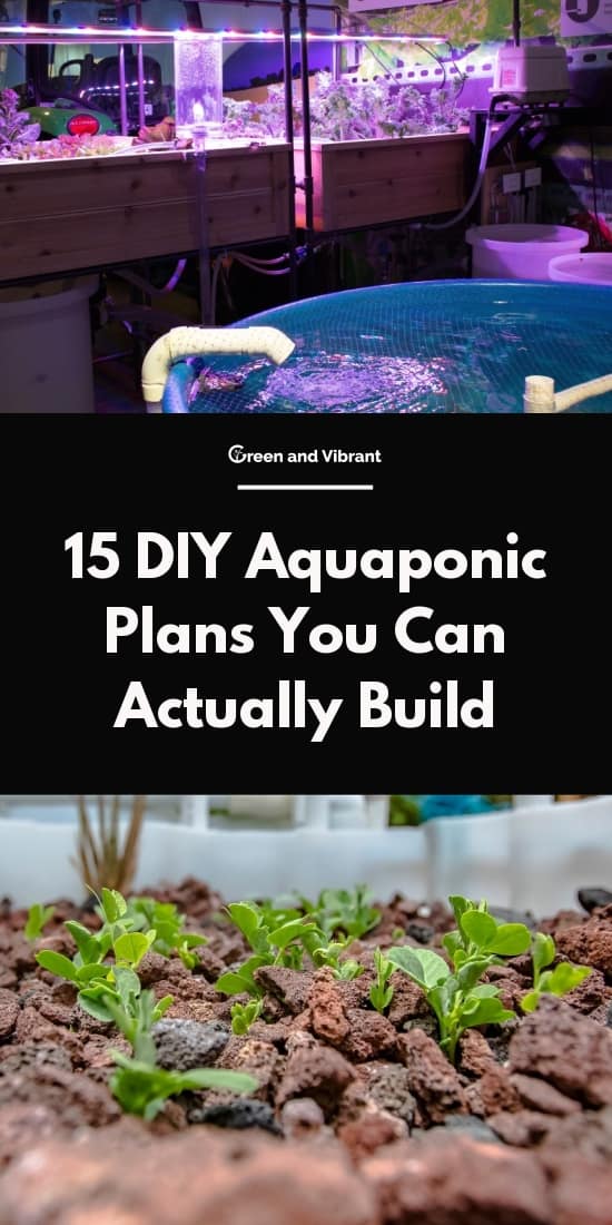 100 x 4 cm baskets orchid hydroplanet plant aquaponics