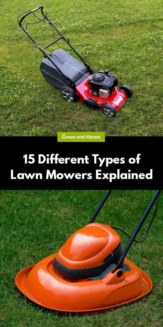 15 Different Types of Lawn Mowers Explained