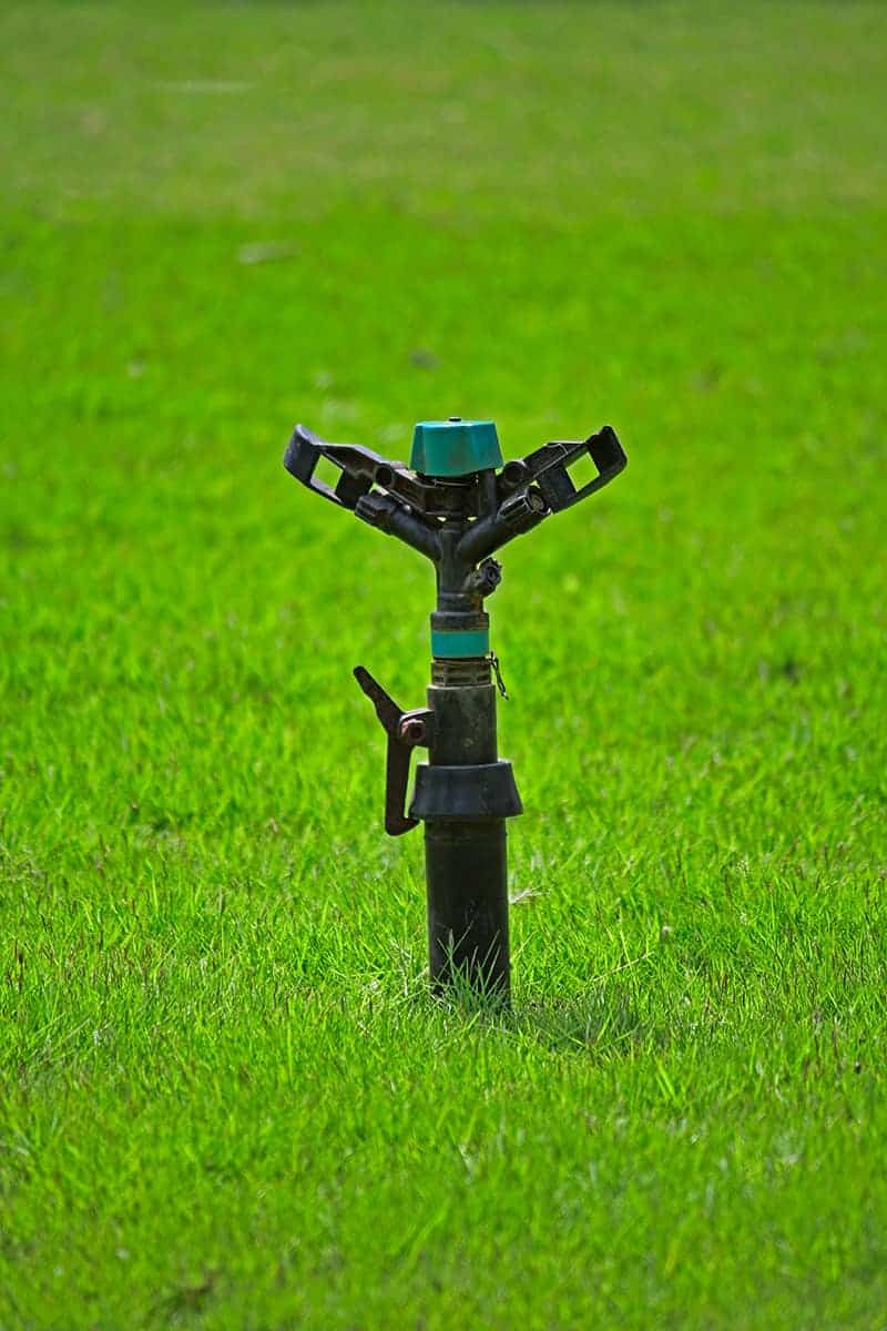 Fixed Spray Sprinklers