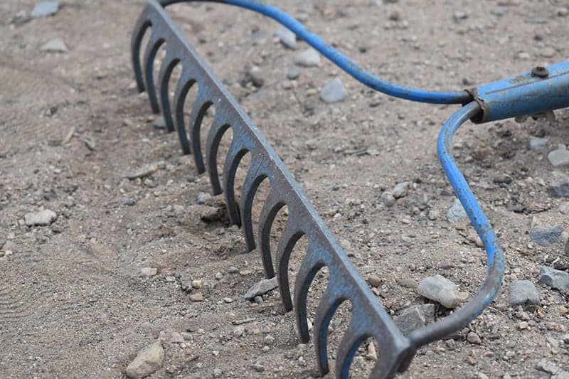 15 Different Types of Rakes and Their Uses | Trees.com