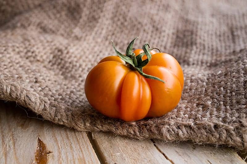 Costoluto Fiorentino