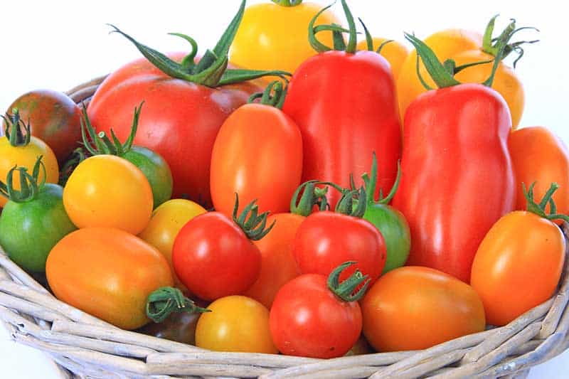 Various types of tomatoes
