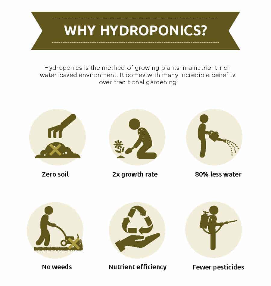 advantages-of-hydroponics