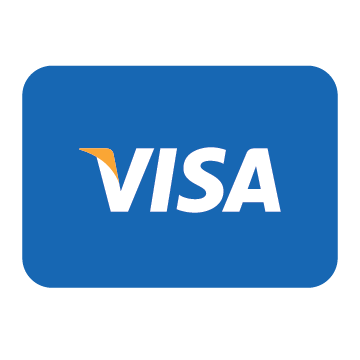 pay-visa-pay