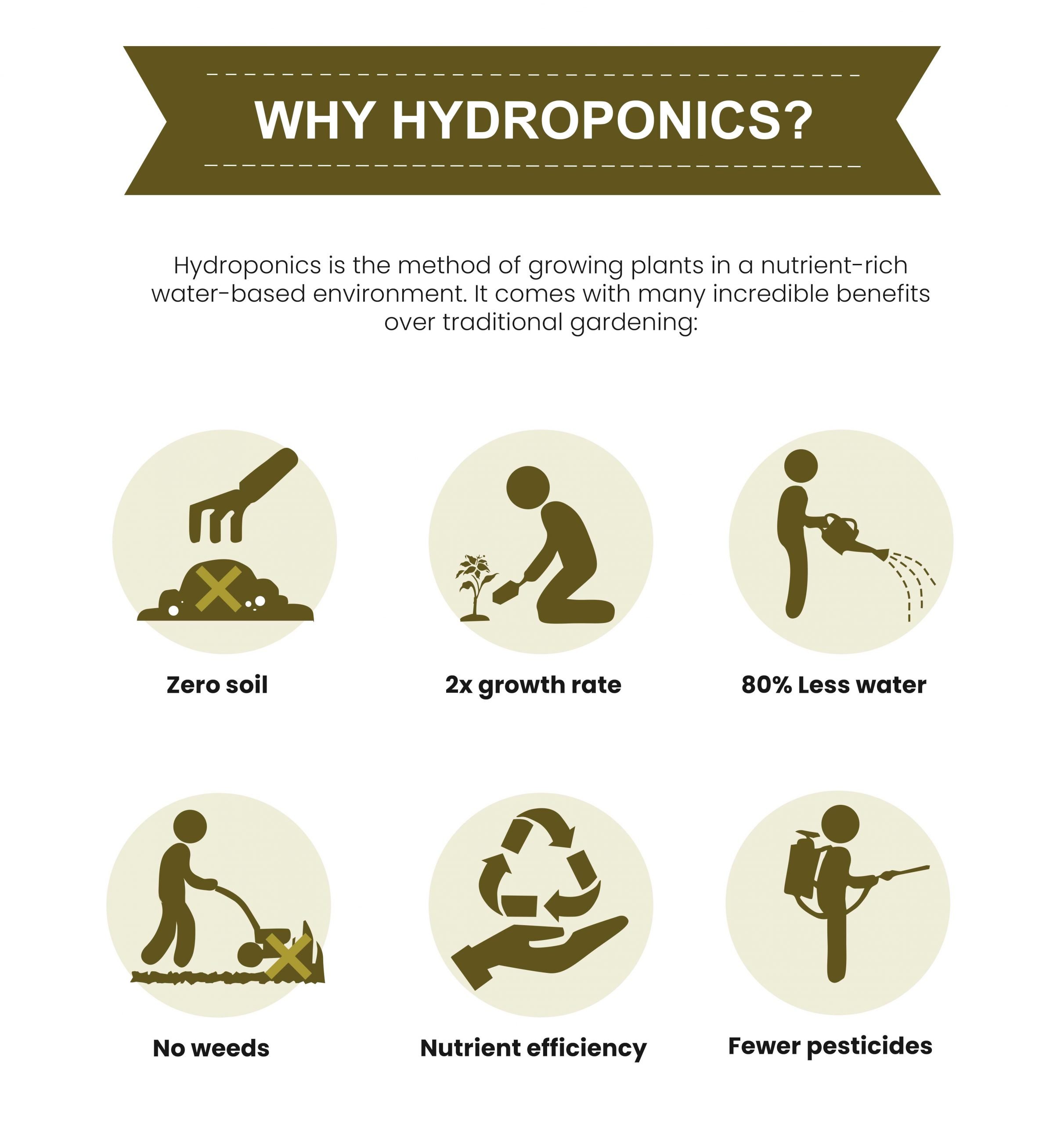 Hydroponics Infograhic