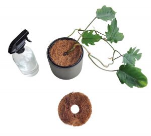 Coco Coir Soil Topper