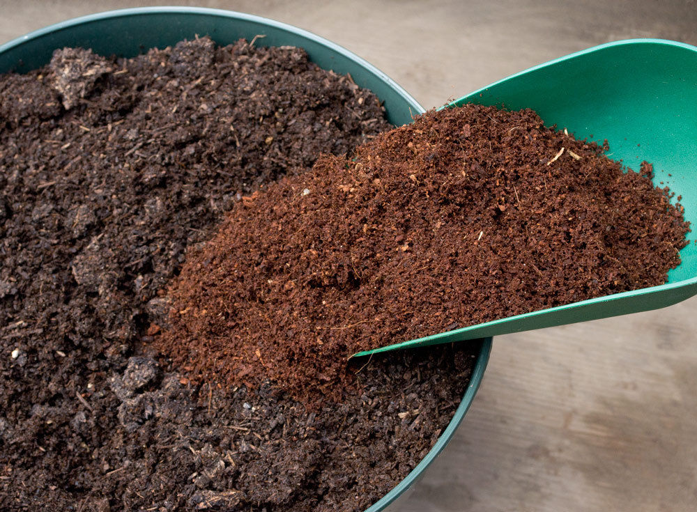 Coco Coir and Soil