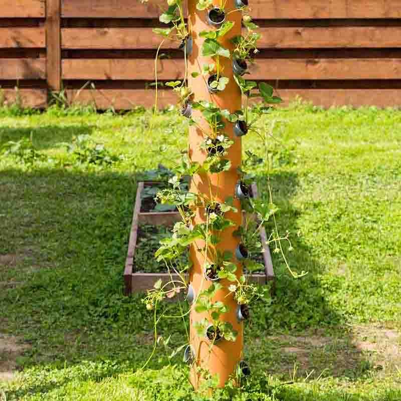Vertical Hydroponic tower