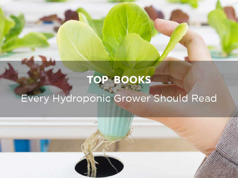 Top Hydroponic Books