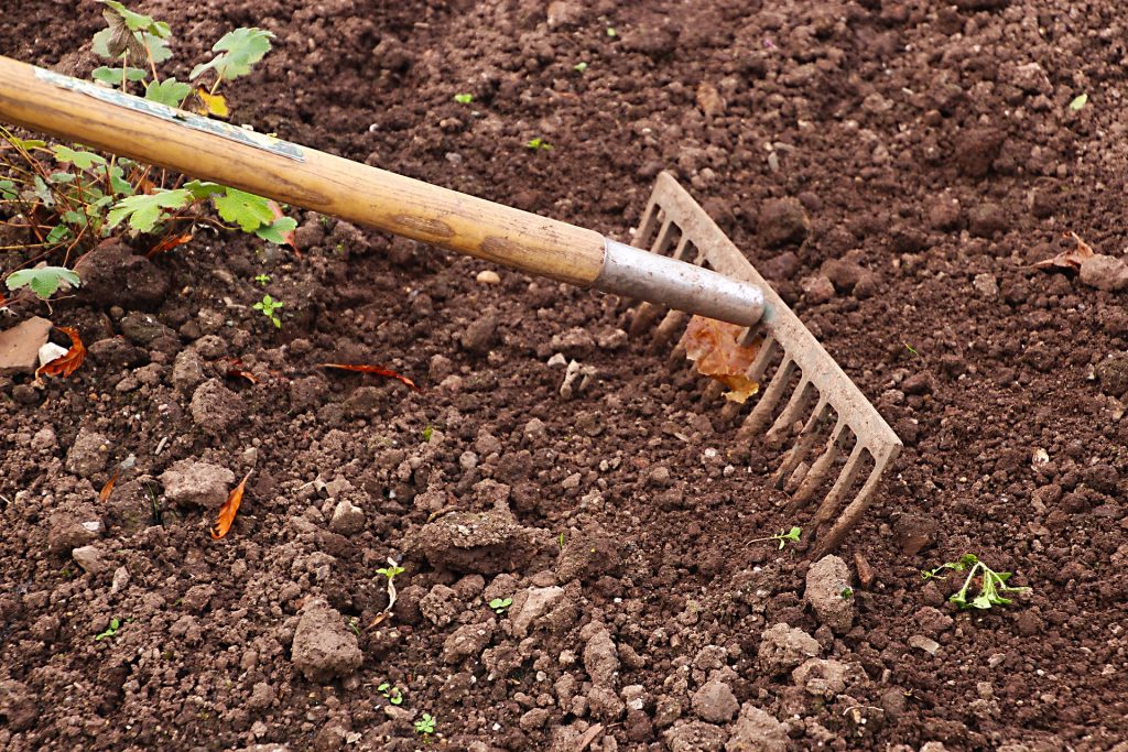 Breaking down the soil using a rake